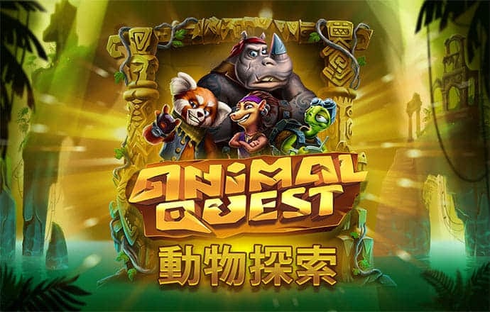 kok全站APP官网登录